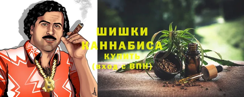 Шишки марихуана OG Kush  Острогожск 